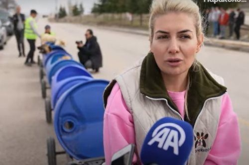 Τουρκία: H φιλόζωη που βγάζει βόλτα ανάπηρους σκύλους με αυτοσχέδιο 