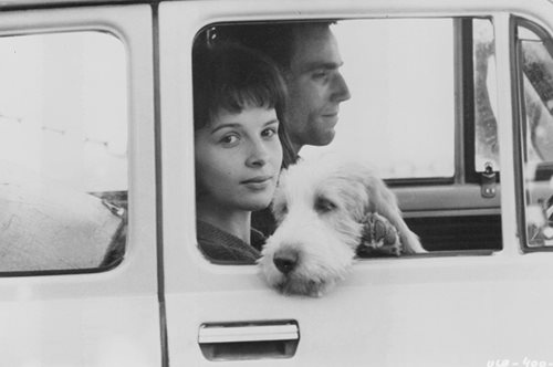 Μίλαν Κούντερα: 