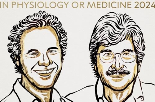 Νόμπελ Ιατρικής 2024: Στους Βίκτορ Αμπρος και Γκάρι Ρούβκουν