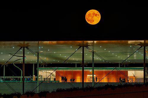 Full Moon Sleepover στο ΚΠΙΣΝ: Εσύ θα κοιμηθείς στην Πανσέληνο του Ελαφιού;