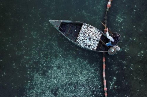 Μια ελληνική φωτογραφία στις κορυφαίες της χρονιάς για το Reuters