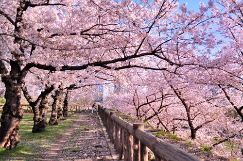 Κατερίνη: Στη δική μας 