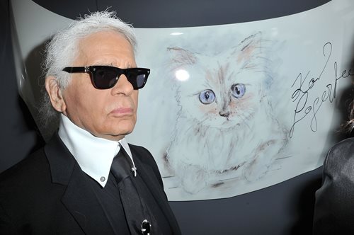 Met Gala 2023: Τα εισιτήρια των 50.000 δολαρίων, η Κιμ Καρντάσιαν και η επίτιμη καλεσμένη-γάτα του Κάρλ Λαγκερφέλντ