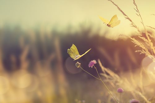 Φθινοπωρινή Ισημερία- Θα αρχίζει να νυχτώνει νωρίτερα