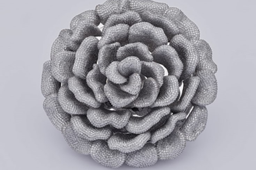 Το δαχτυλίδι που κατέχει το πιο 