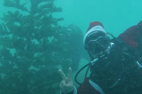 Στην Αλόννησο το χριστουγεννιάτικο δέντρο στολίζεται από δύτες στον βυθό της θάλασσας