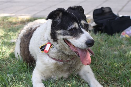 Θεσ/νίκη: Ραντεβού όλοι για τον Λουκούμη, τον Αυτιά, τον Μπιρμπίλη και τα άλλα παιδιά