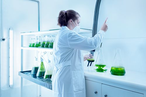 Οι γυναίκες δίνουν το δικό τους 