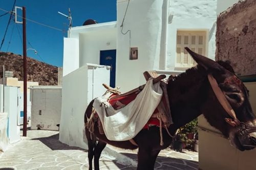 Η Daily Mail ξεμπρόστιασε τη γαϊδουριά μας