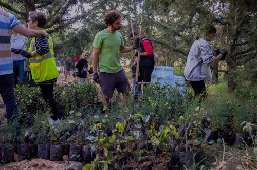 1000 δενδρύλλια φύτεψε η εταιρεία Βίκος στην εθελοντική δράση της We4all στο πλαίσιο της 3ης Πανελλήνιας Εθελοντικής Φύτευσης