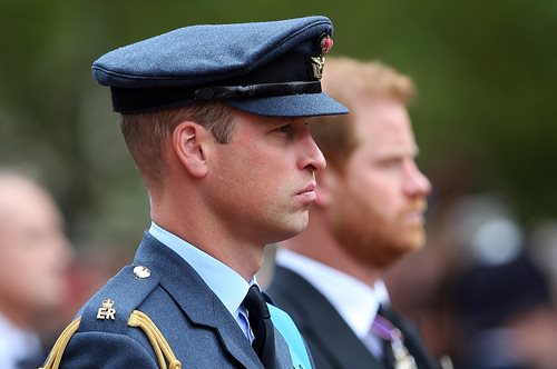 Πρίγκιπας Ουίλιαμ και Χάρι: Σπάνια 