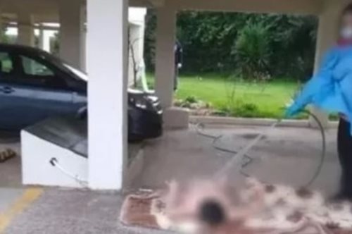 Ωρωπός: Σκηνές ντροπής εκτυλίχθηκαν όταν πλήρωμα ασθενοφόρου καταβρέχει με το λάστιχο ηλικιωμένη γυναίκα