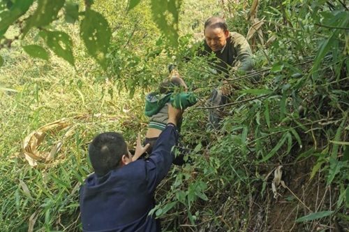 Απίστευτο και όμως αληθινό! Μαϊμού απήγαγε 3χρονο κορίτσι
