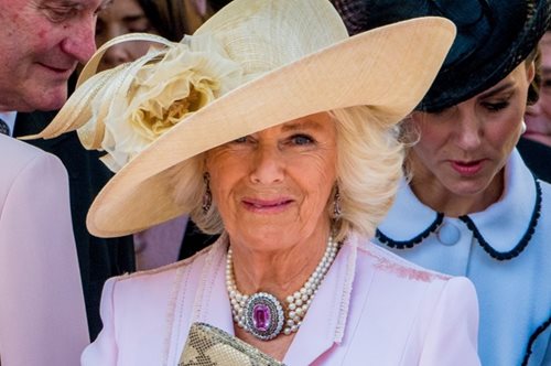 H βασίλισσα Καμίλα έγινε Barbie