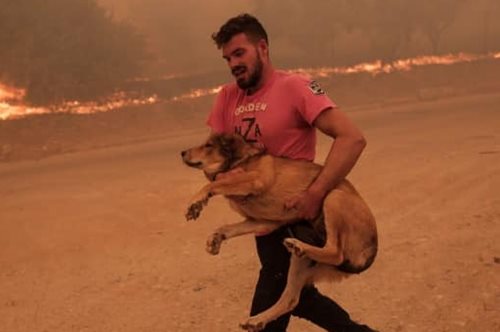 Η συγκινητική ανάρτηση της συζύγου του Λεωνίδα Ρόδη, του ήρωα που έσωσε τα ζώα μέσα από τις φλόγες!