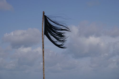 Το Ιράν φλέγεται: Μια σημαία από κομμένα μαλλιά αποτυπώνει όλη την οργή των γυναικών στο Ιράν