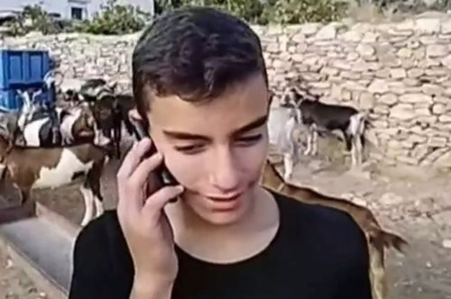 Νάξος| Αριστούχος μαθητής και βοσκός μόλις 12 ετών