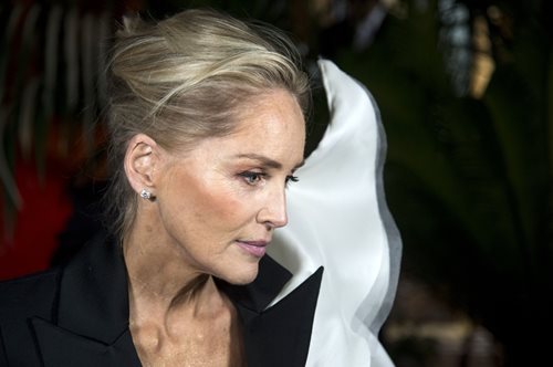 Σάρον Στόουν: Πένθος για την ηθοποιό- Το συγκινητικό βίντεο για την απώλεια του αδερφού της