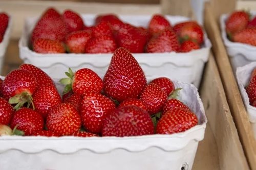 Το κόλπο για να μην χαλάνε γρήγορα οι φράουλες