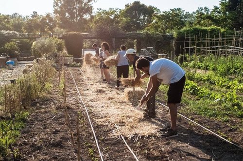 Τι είναι τα 