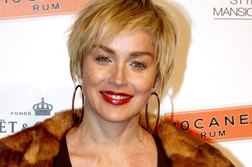 Η Σάρον Στόουν ερωτεύτηκε ξανά