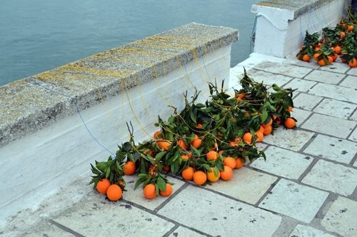 Θεοφάνια στη Λευκάδα: Το ενετικό έθιμο 