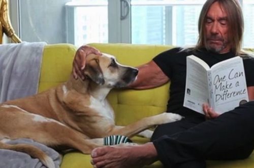 «Γίνε ο άνθρωπος που ο σκύλος σου πιστεύει ότι είσαι». Ένα υπέροχο animation του Iggy Pop 