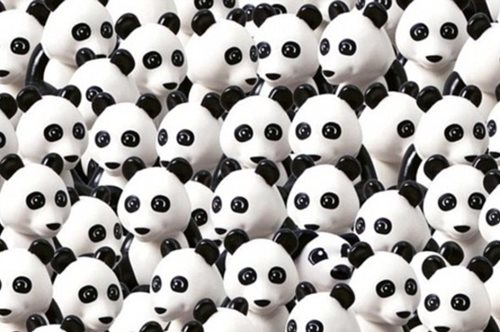 Βρήκατε το αρκουδάκι πάντα, τώρα βρείτε το σκύλο