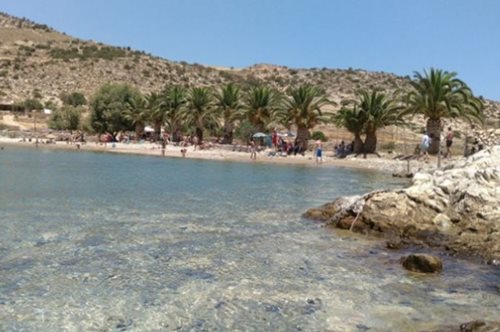 Μία παραλία γεμάτη φοίνικες που θυμίζει Καραϊβική βρίσκεται στην Ελλάδα