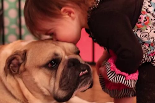 BFFE: Η ιστορία αγάπης ενός κοριτσιού με ένα μπουλντόγκ που θα σας ξετρελάνει