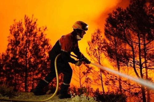 Δημοσιογράφος του Alpha αποκάλυψε ότι δηλητηριάστηκε το αίμα της ενώ έκανε ρεπορτάζ για τις φωτιές