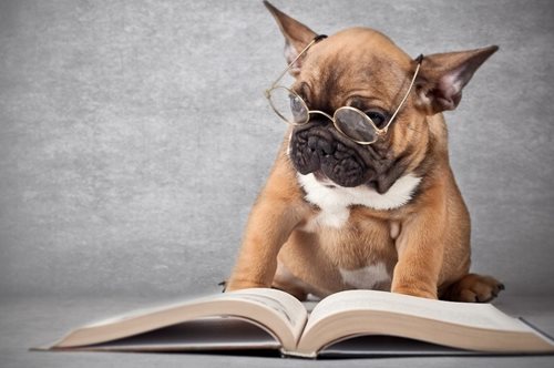 Πως να μάθω ορθογραφία; Πρακτικοί και έξυπνοι τρόποι με παραδείγματα για τα παιδιά και τους γονείς 