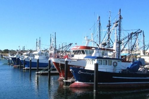 Ένα «ελληνικό» ψαροχώρι στην άκρη της Αυστραλίας