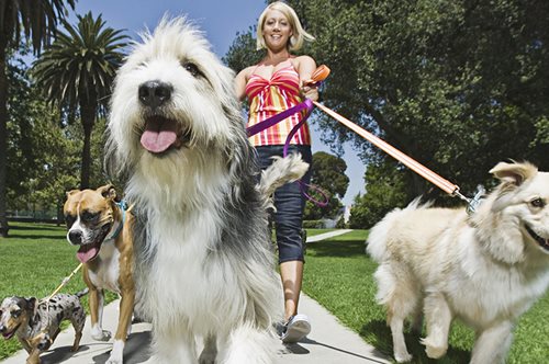 Η start up που φροντίζει το κατοικίδιό σου όσο λείπεις 