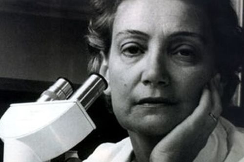 Αμαλία Φλέμινγκ: Η Ελληνίδα γιατρός που έκρυβε Εβραίους στην κατοχή και παντρεύτηκε έναν Νομπελίστα