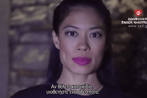 Η Βανέσα Μέι κάνει εκστρατεία για τα αδέσποτα της φιλοζωικής της Ηλιούπολης