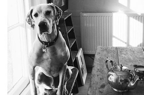 Ένα εξαιρετικό σπίτι στο οποίο θα θέλαμε να περάσουμε το Σαββατοκύριακο μας