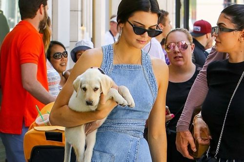 H Κένταλ Τζένερ κράτησε εκ νέου την πιο παλιομοδίτικη τσάντα και μας έκανε να την δούμε με άλλο μάτι