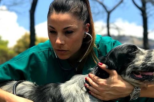 «Η ικανότητά μας να συμπάσχουμε»: Το δυνατό μήνυμα της κτηνιάτρου Βασιλικής Σταθοπούλου