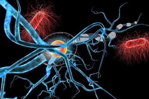 Πρωτοποριακή μέθοδος έσωσε 9 στους 10 ασθενείς με λευχαιμία σε τελικό στάδιο