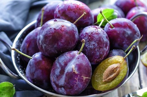 Έλαιο δαμάσκηνου: Το θείο μυστικό ομορφιάς με ευεργετικές ιδιότητες που λίγοι γνωρίζουν