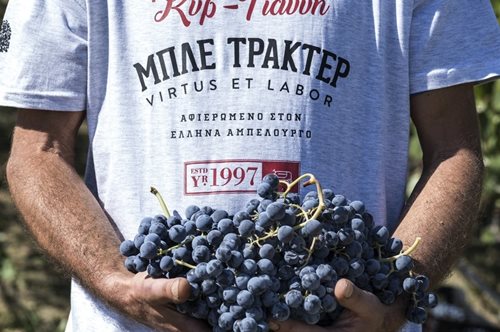 Ο τρύγος, ο βάκχος, ο Κυρ Γιάννης και το Μπλε Τρακτέρ: Ένα ευφορικό διήμερο στα αμπέλια της Νάουσας