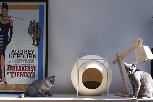 Ανακαλύψαμε τις πιο design φωλιές για γάτες με άποψη. Δυστυχώς δεν βγαίνουν σε μεγαλύτερο μέγεθος