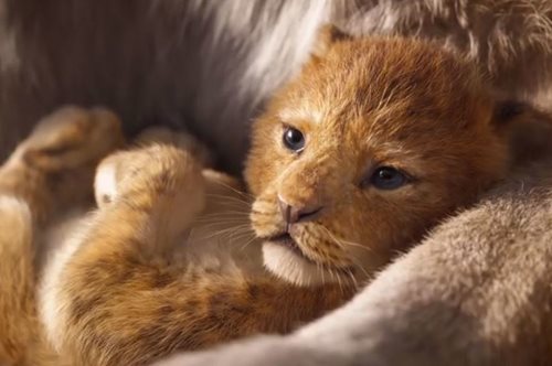 Το τρέιλερ του νέου «Βασιλιά των λιονταριών» της Disney κάνει την καρδιά μας να λιώνει από συγκίνηση