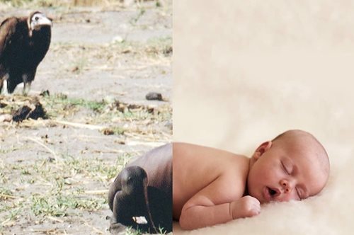 Ζούμε στον παράδεισο και δεν το ξέρουμε: Σειρά φωτογραφιών τονίζει την αντίθεση ειρήνης-πολέμου