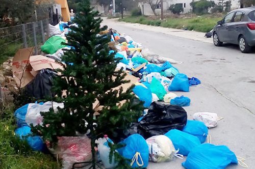 Να τι πρωτοποριακό θα κάνουν στην Θεσσαλονίκη με τα άχρηστα χριστουγεννιάτικα δέντρα