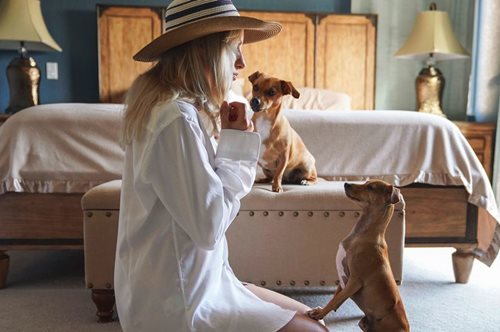 Κοιμόμαστε καλύτερα όταν μοιραζόμαστε το κρεβάτι με τον σκύλο μας παρά με τον σύντροφό μας