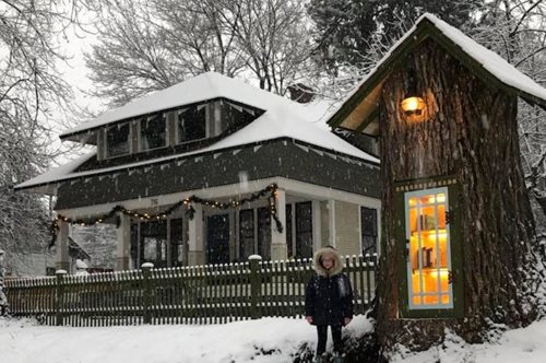 Το δέντρο της γνώσης: Ο κορμός του μεταμορφώθηκε σε κοινόχρηστη βιβλιοθήκη και η ιδέα έγινε viral