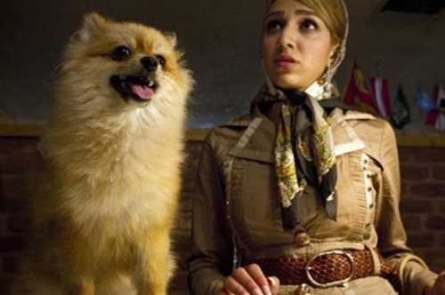 Σοκαριστική απόφαση. Στην Τεχεράκη απαγόρευσαν στους πολίτες να βγάζουν βόλτα τα σκυλιά τους 