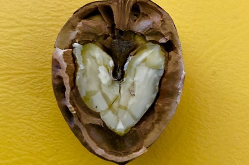 Η έκθεση της Aspasia εστιάζει στην αγάπη όπως αυτή εμφανίζεται μέσα από καθημερινά σημάδια 